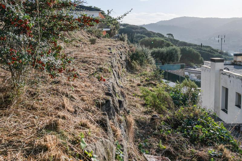 Foto d7172d4b-427b-47b3-a87e-7b36c0515cc4. Terrain résidentiel dans Dosrius poble Dosrius