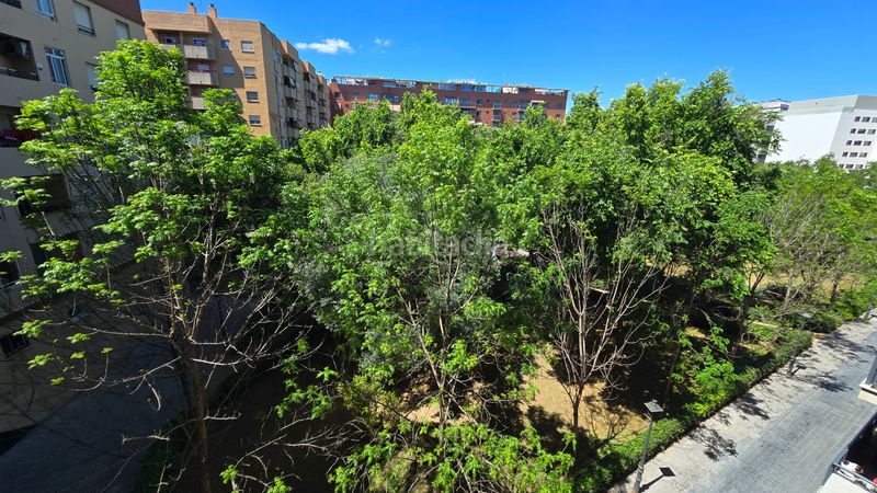 Piso en carrer de campos crespo 82 en Sant Isidre Valencia - Imagen 18