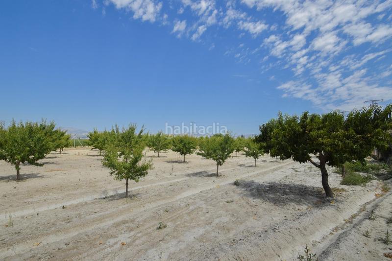 Foto 35ae0a33-2c64-43dd-a4f7-8c38cfdd4aeb. Xalet amb calefacció piscina a Fuente Vaqueros