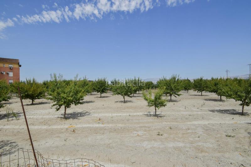 Foto 3f9e21a5-c690-41ed-b6c1-7f8273665d50. Xalet amb calefacció piscina a Fuente Vaqueros