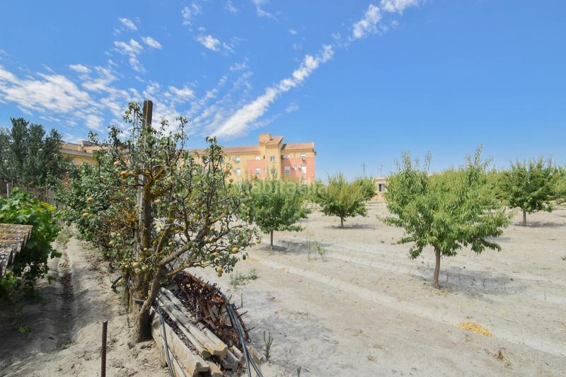 Foto 52ad0052-1052-423d-941e-168672a46aae. Xalet amb calefacció piscina a Fuente Vaqueros