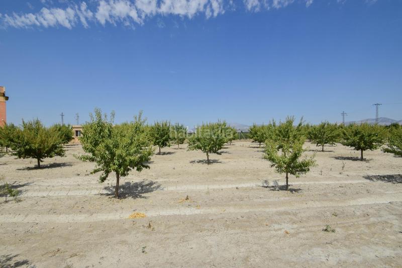 Foto 8bdd3976-c224-4eda-a225-ada4f9642845. Xalet amb calefacció piscina a Fuente Vaqueros