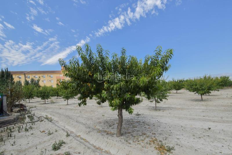Foto cb2bcc77-fc65-40f2-8f60-4f083475b1bc. Xalet amb calefacció piscina a Fuente Vaqueros