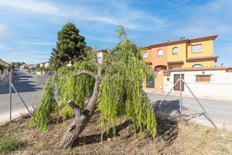 Foto 280ba5d1-c825-4f62-8ad4-81fca7e7f9a2. Solar industrial a Urbanizaciones Alhendín