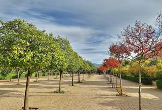 Piso en Barrio de Zaidín. Piso ocupado por persona sin justo titulo en el zaidin granada