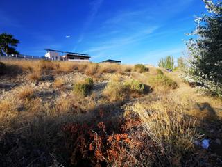 Terreno residencial  Barrancones. Necesitas una parcela para hacer tu casa a capricho?