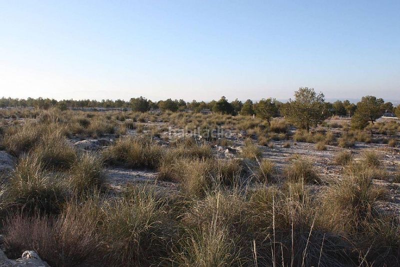 Foto d65be226-ce07-4178-9d97-3284b5756ac4. Finca rústica a Puebla de Don Fadrique