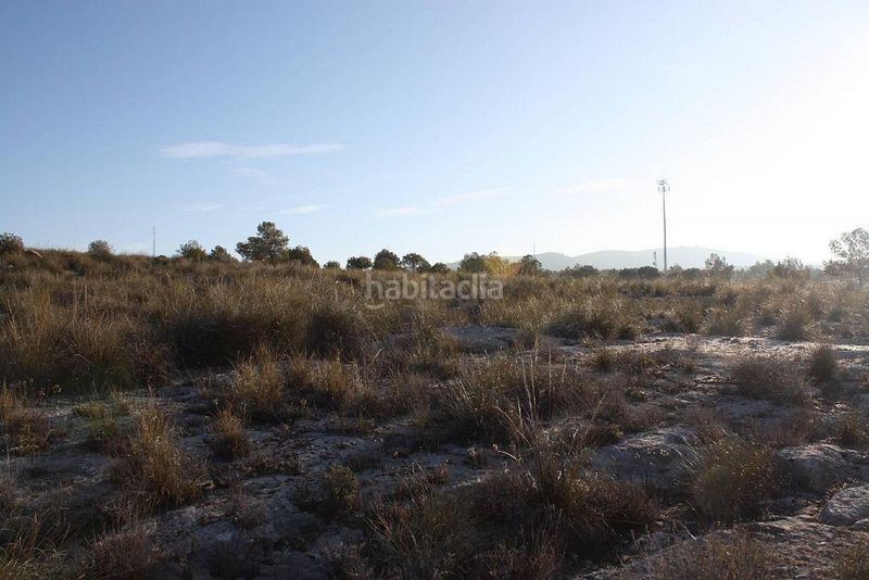 Foto dd9622df-5542-4301-b8bd-bddfa5d03aca. Finca rústica a Puebla de Don Fadrique