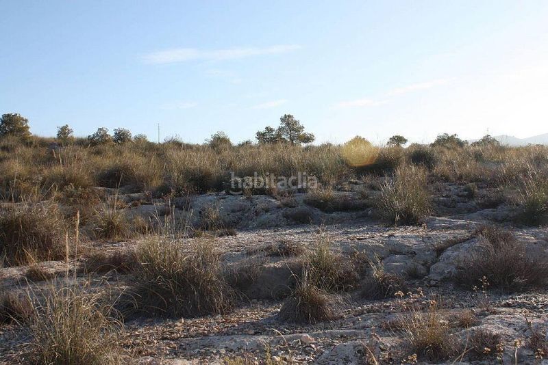 Foto e1163b69-0906-4b59-9bc9-b66f0774f5b2. Finca rústica a Puebla de Don Fadrique