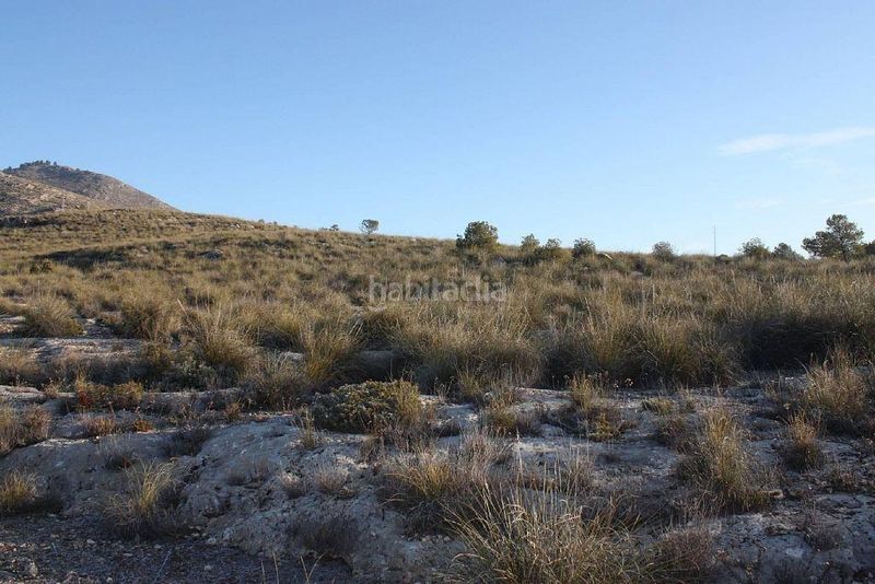 Foto f65f6268-4937-40cb-82e2-2d849907c03a. Finca rústica a Puebla de Don Fadrique