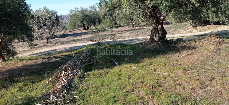 Foto 3f863fce-b434-4313-9fa7-2d5c27be951e. Finca rústica a Marchal