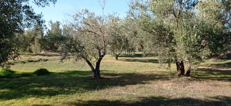 Foto bc682150-4a2f-410e-9a9d-bd52834b2e30. Finca rústica a Marchal