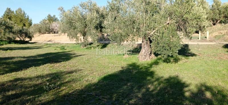 Foto c590635f-d194-4080-be2d-07ae1f269832. Finca rústica terreno rustico a la venta granada en Marchal
