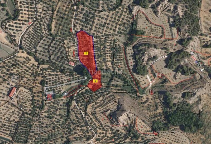 Foto d0103a54-3771-44f1-8956-0ba7a787d294. Finca rústica terreno rustico a la venta granada en Marchal