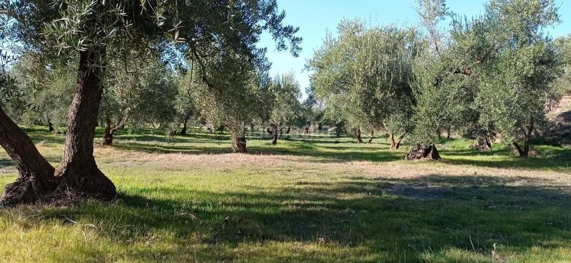 Foto f2d9fa0a-abe8-489a-a22a-752563d6c51b. Finca rústica a Marchal