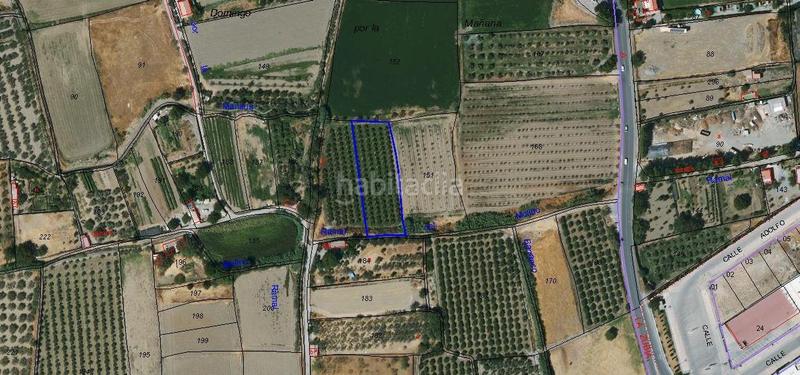 Foto 3bc9894a-1d1b-4908-832c-625b55fcca13. Fondo rustico in La Zubia Ciudad Zubia (La)