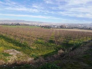 Finca rústica  Ramal del molino. Terreno rustico a la venta en la zubia granada