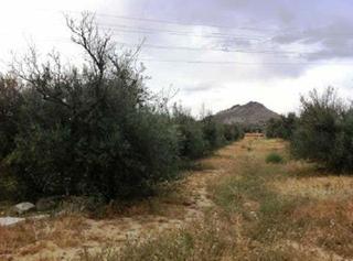 Terrain résidentiel  Calle suelo urb. sr-13. Terreno urbanizable a la venta en atarfe granada