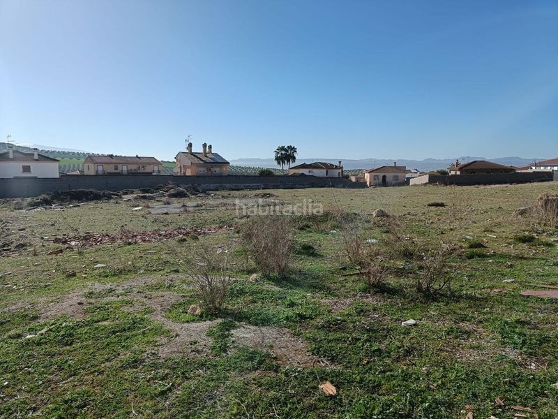Foto c455dd12-9a1e-499e-90d2-62b26b778a0c. Terreny residencial a Íllora