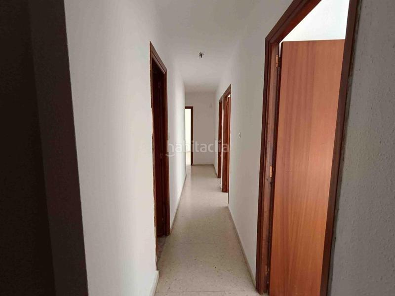 Foto 99ddbf72-9974-4fbf-bba4-8217a8cd0ea4. Pis a Íllora