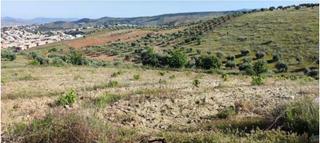 Terreno residencial en Urbanizacion PAGO DE LOS ALMENDROS