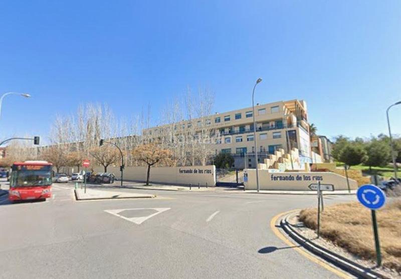 Foto d04fed04-c5fa-428e-aeea-0c75af8a64e0. Pis a Cartuja Granada