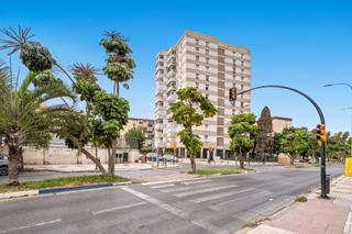 Pis  Avenida de la palmilla. Gran piso de 4 dormitorios