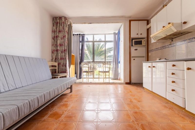 Foto dd848646-523b-41ca-825d-6589a69426fb. Estudi a La Pineda Vila-seca