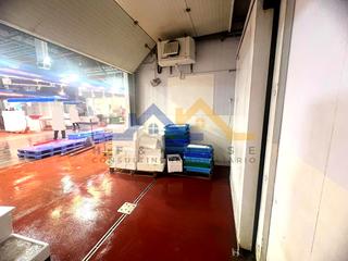 Traspàs Nau industrial  Madrid. Nave de marisco y pescado en mercamadrid