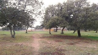 Terreny residencial a Pelagatos - Pago del Humo. Chiclana de la fronteraterreno