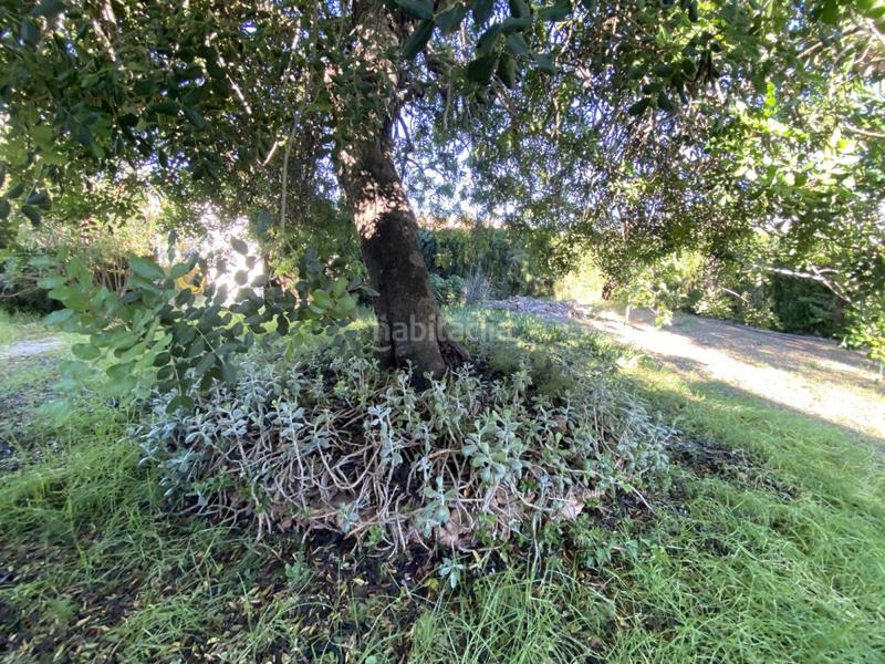 Foto 68c67abd-73e8-45dc-81d2-ebf1d86be901. Xalet amb aparcament a Nord Sant Carles de la Ràpita