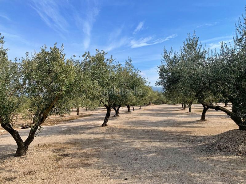 Foto 063f50c5-dfba-41db-93a5-0a96bdd166e9. Chalet with parking in Aldover