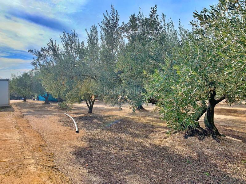 Foto 129c8853-d0db-4b29-b227-afef4370f0bc. Chalet with parking in Aldover