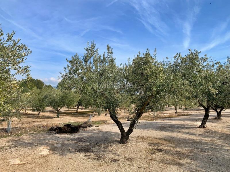 Foto 30793a25-596b-4858-b4c0-a8ded5733ba5. Chalet with parking in Aldover