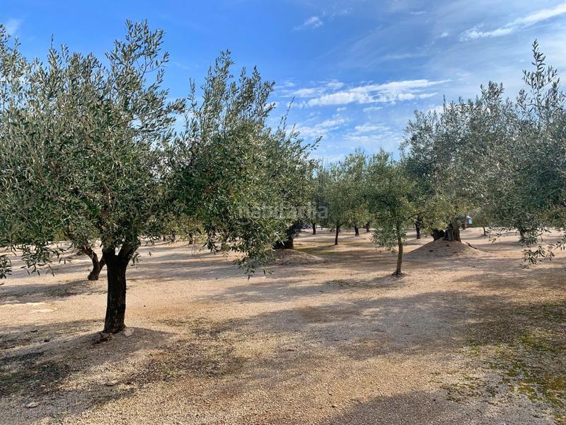 Foto 34fcb7f0-612e-4fd7-a214-a12037449971. Chalet with parking in Aldover