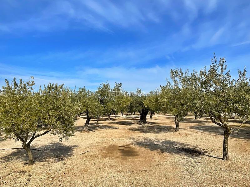 Foto 38299a7e-7919-400c-b16c-67cf4c718086. Chalet with parking in Aldover