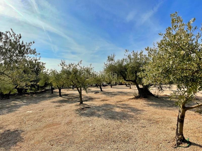 Foto 4de657ff-3afc-41c4-abd5-7bc99244caaf. Chalet with parking in Aldover