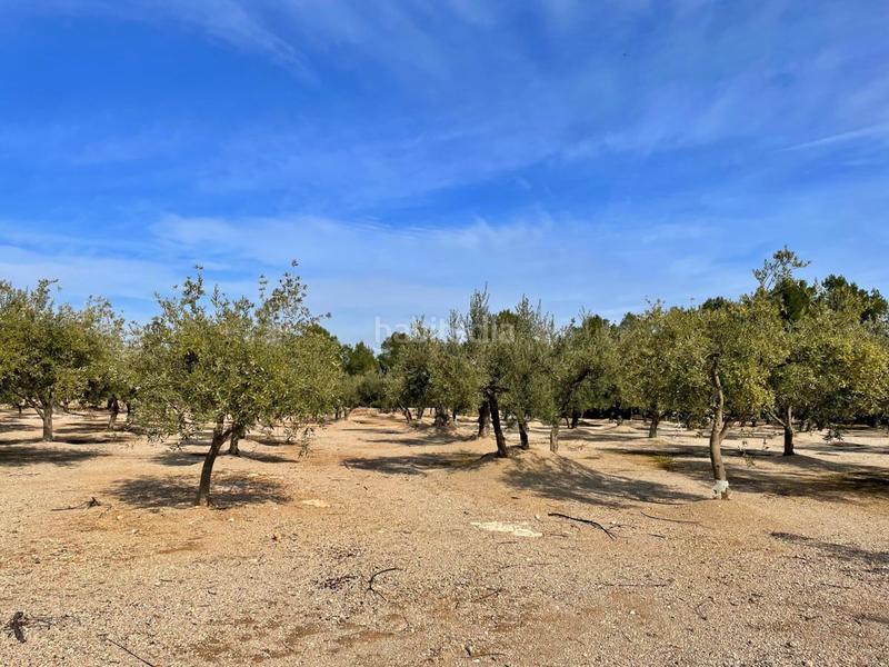 Foto 6bec4687-835c-4861-be70-fad2d2c3bfec. Chalet with parking in Aldover