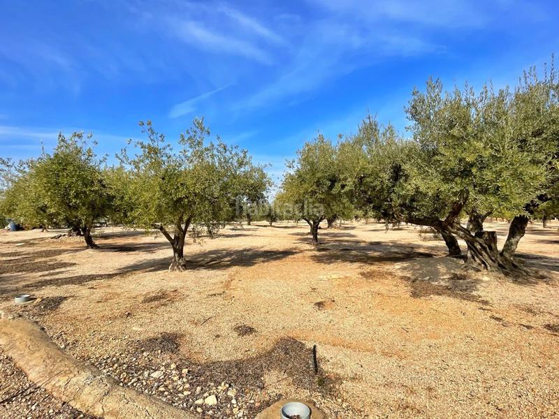 Foto c94149ca-6877-4126-a2e5-e496f586ceaf. Chalet with parking in Aldover