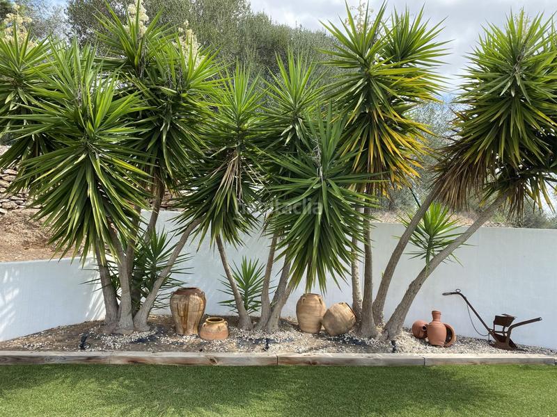 Foto 8a053084-8870-4824-901b-18036afc84e9. Xalet amb calefacció aparcament piscina a Grau - Quintanes Amposta