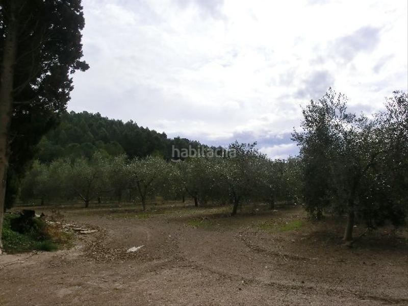 Foto 93930f2a-22ef-4108-9790-67e1198b4c9b. Country house in Bítem Tortosa