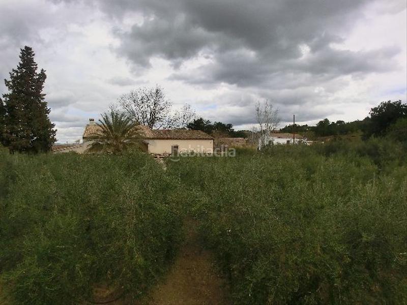 Foto c9783dd1-88de-47a3-acbf-cfdfe764961c. Country house in Bítem Tortosa
