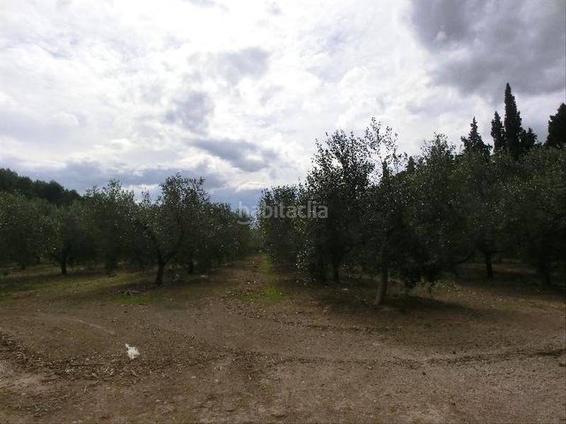 Foto dd847753-bcb9-4b5b-b61d-a03e6d964083. Country house in Bítem Tortosa