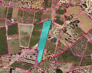 Residential Plot in Santa Bàrbara. Terreno rústico en venta en santa barbara.