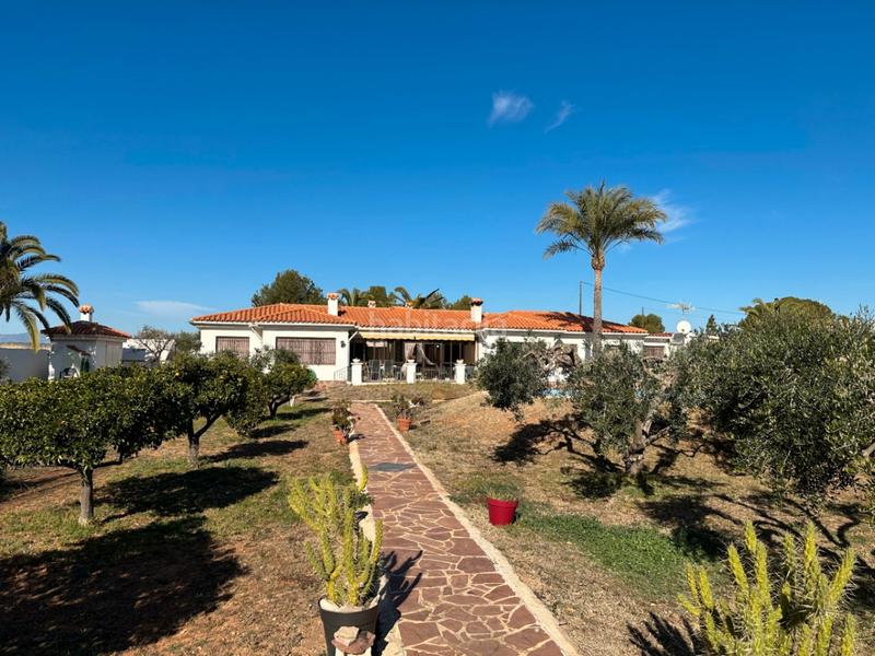 Foto f6aaa2f2-455e-4116-abff-825b4060ea3b. Chalet villa en venta en playa el moro, 5 dormitorios. en Alcossebre