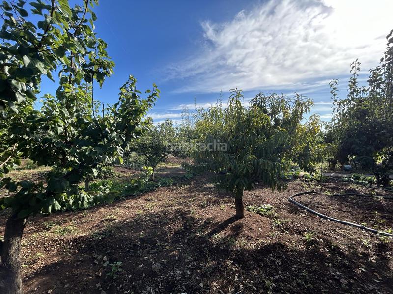 Foto 3334054a-541b-4dd1-8c3e-97b9d4369541. Chalet villa en venta en playa, 4 dormitorios. en Alcanar