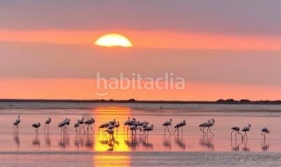 Foto a6af4b87-dfcd-41a8-a87b-212e7c6d491c. Xalet a Deltebre