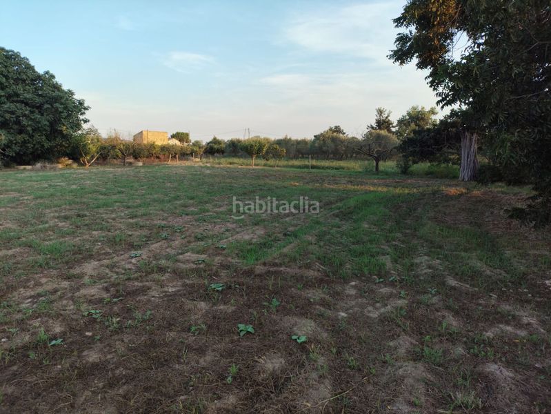 Foto 653fc7bd-8f93-4b04-94cb-e88514762014. Casa a Urbanitzacions Tortosa