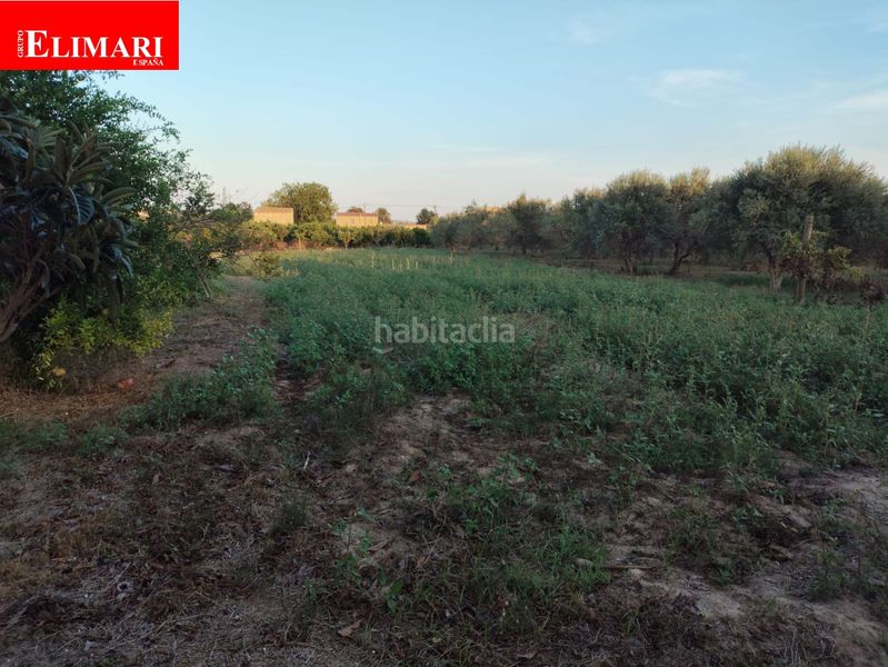 Foto d3a10475-f890-41f1-8ae7-313ef75350ad. Casa a Urbanitzacions Tortosa