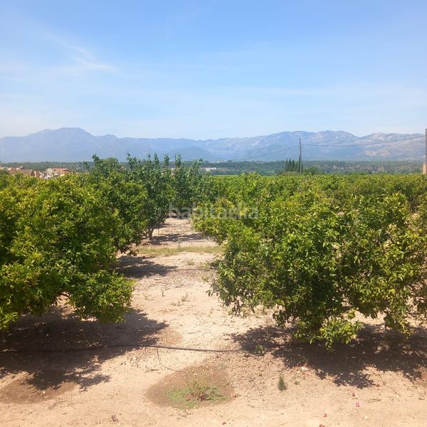 Foto 5e1e0b6e-0141-4549-ad9b-24d6d41d1ecf. Edificio  en venta en Bítem, 4 dormitorios. en Tortosa